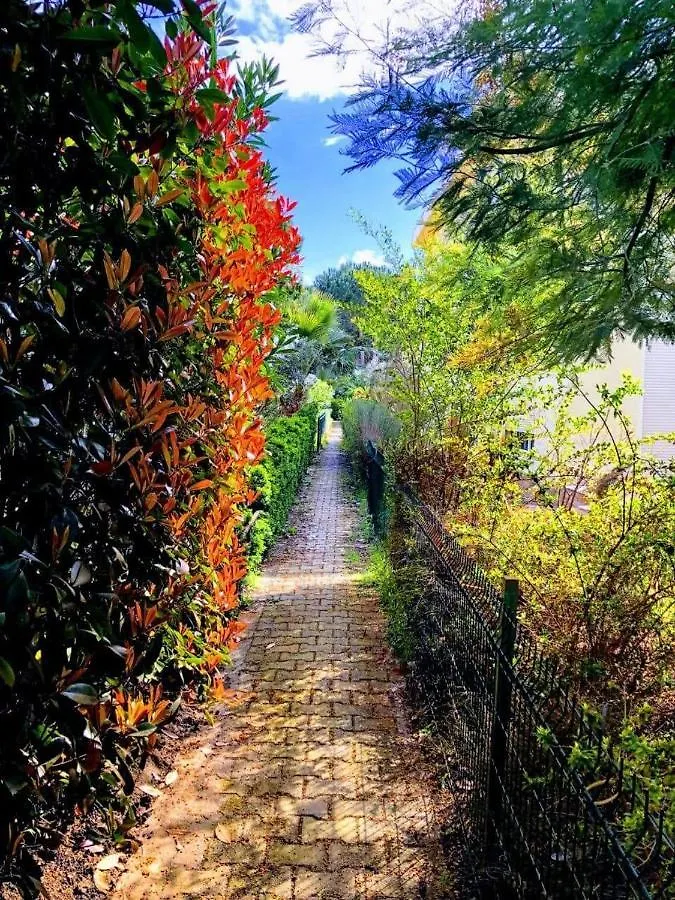 דורס Vila Meris